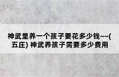 神武里养一个孩子要花多少钱~~(五庄) 神武养孩子需要多少费用